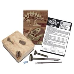 4M Kit Archéologie - Déterre Ton Dinosaure - Brachiosaure -Djeco Magasin kit archeologie deterre ton dinosaure brachiosaure 2