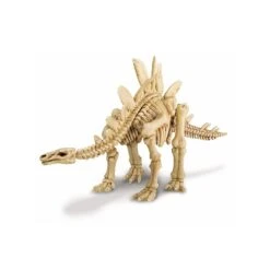 4M Kit Archéologie - Déterre Ton Dinosaure - Stégosaure -Djeco Magasin kit archeologie deterre ton dinosaure stegosaure 2