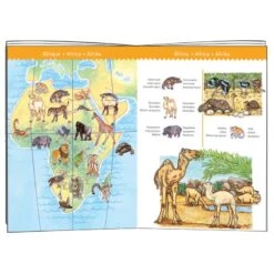 Puzzle Djeco 5 Ans Animaux Du Monde 100 Pièces 7 Puzzle Djeco 5 Ans Animaux Du Monde 100 Pièces -Djeco Magasin puzzle animaux du monde 100 pieces 2
